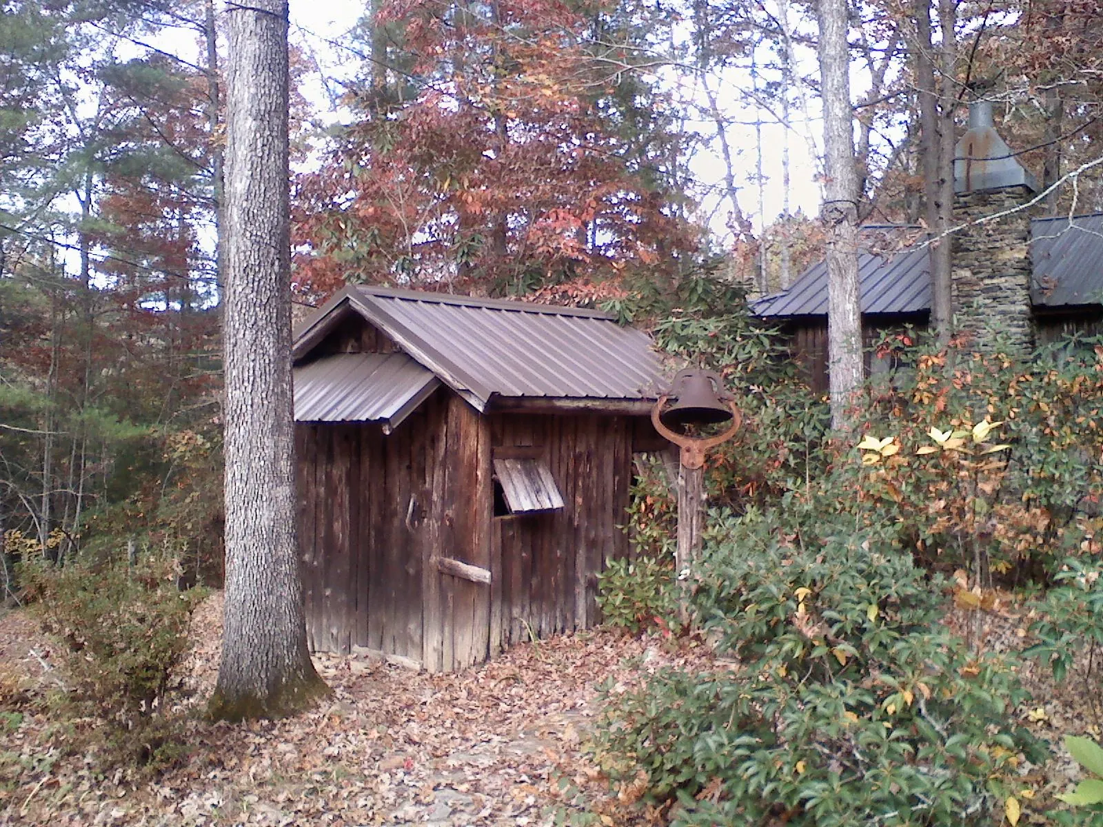 Small metal roof on a rough sawn shed in the woods in Swansboro
