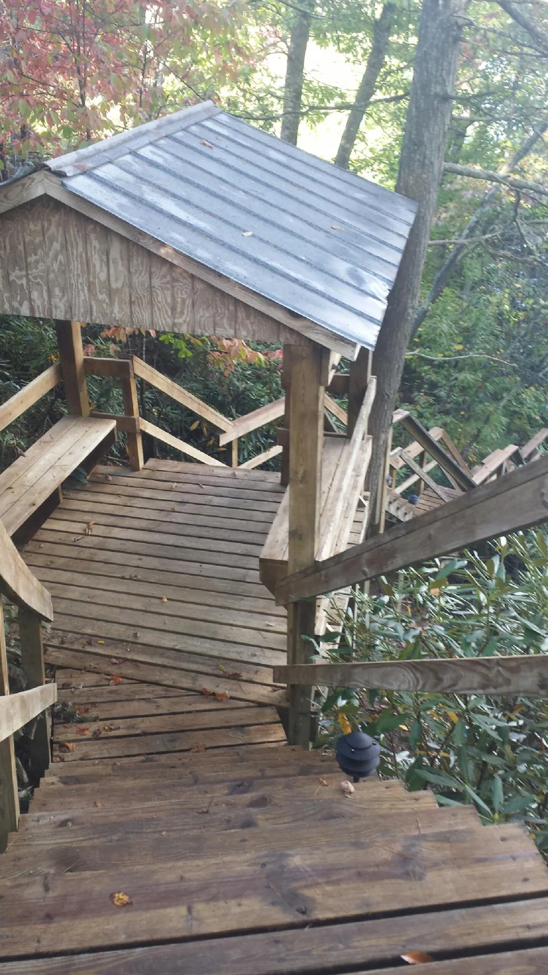 Metal roofed shelter over wooden steps on a wooded walkway — Skylight Repair & Installation work by our crew in Swansboro
